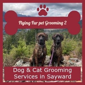 Flying Fur Pet Grooming 2