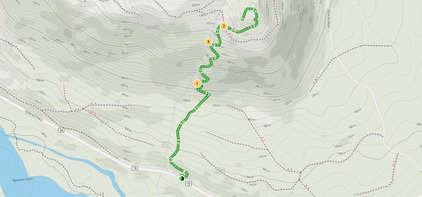 Salmon Lookout Trail