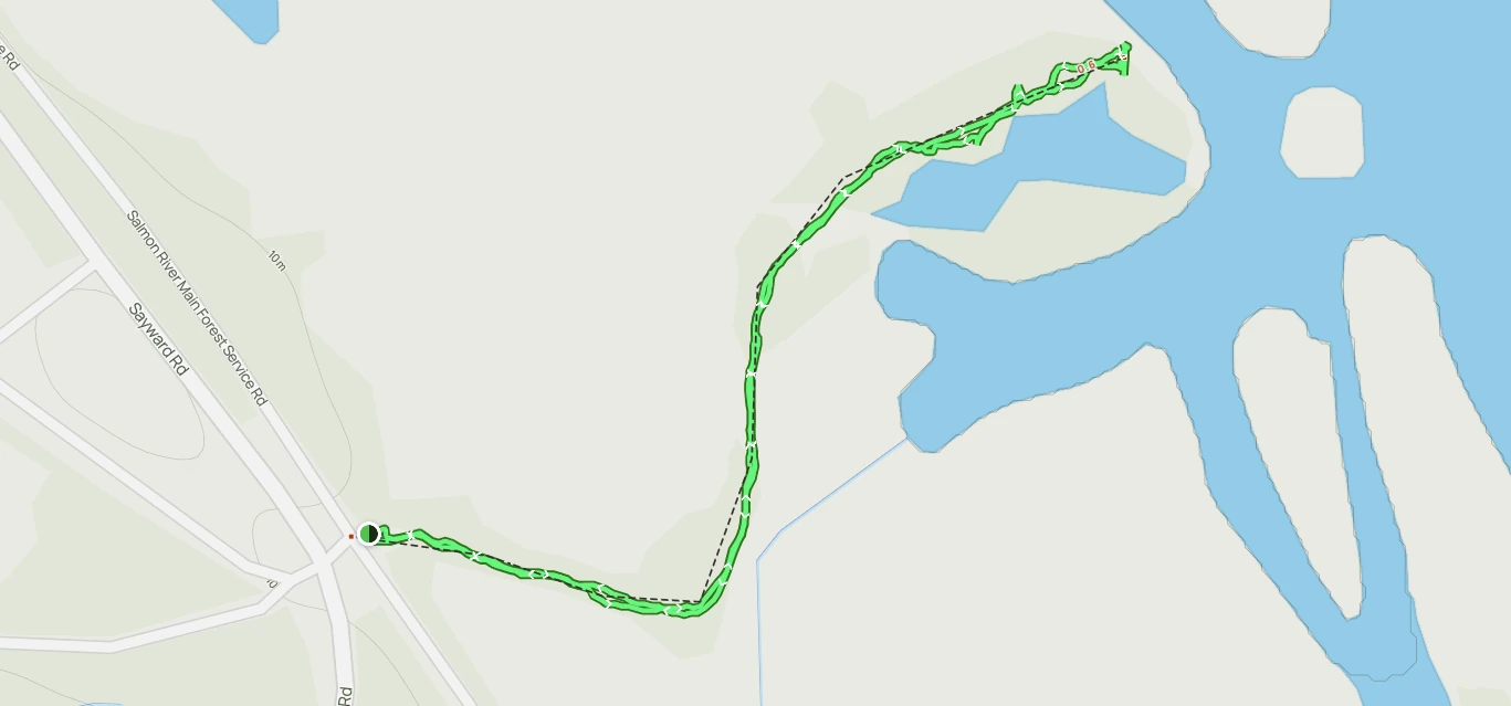 Salmon River Estuary Trail