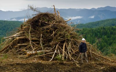 Notice of Upcoming Pile Burning Program in Sayward Valley
