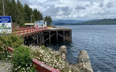 Sayward Futures Society Annual General Meeting – November 25, 2024