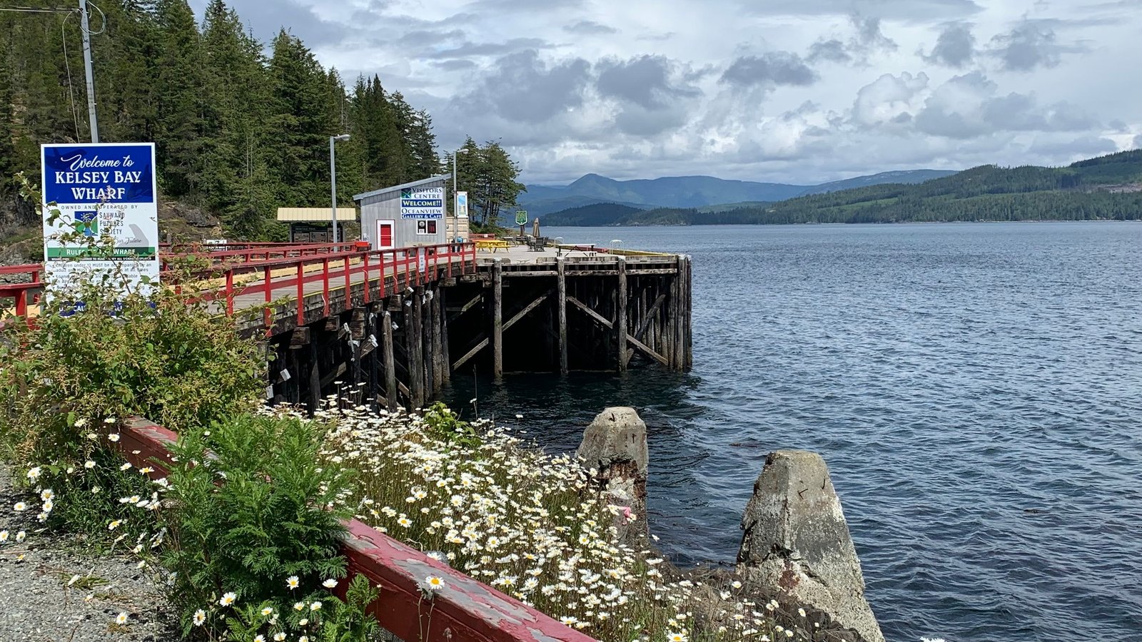 Sayward Futures Society Annual General Meeting – November 25, 2024