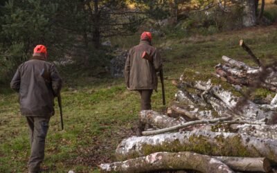 Tips To Remember When Flying For Hunting