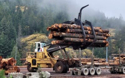 U.S. Lumber Industry Poised to Challenge Canada’s Lead as Tariffs Take Effect