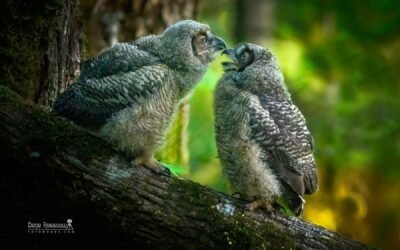 All About Mom – Photo By Dene Rossouw