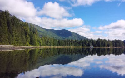 Off Grid Homesteading Opportunity In Port Neville