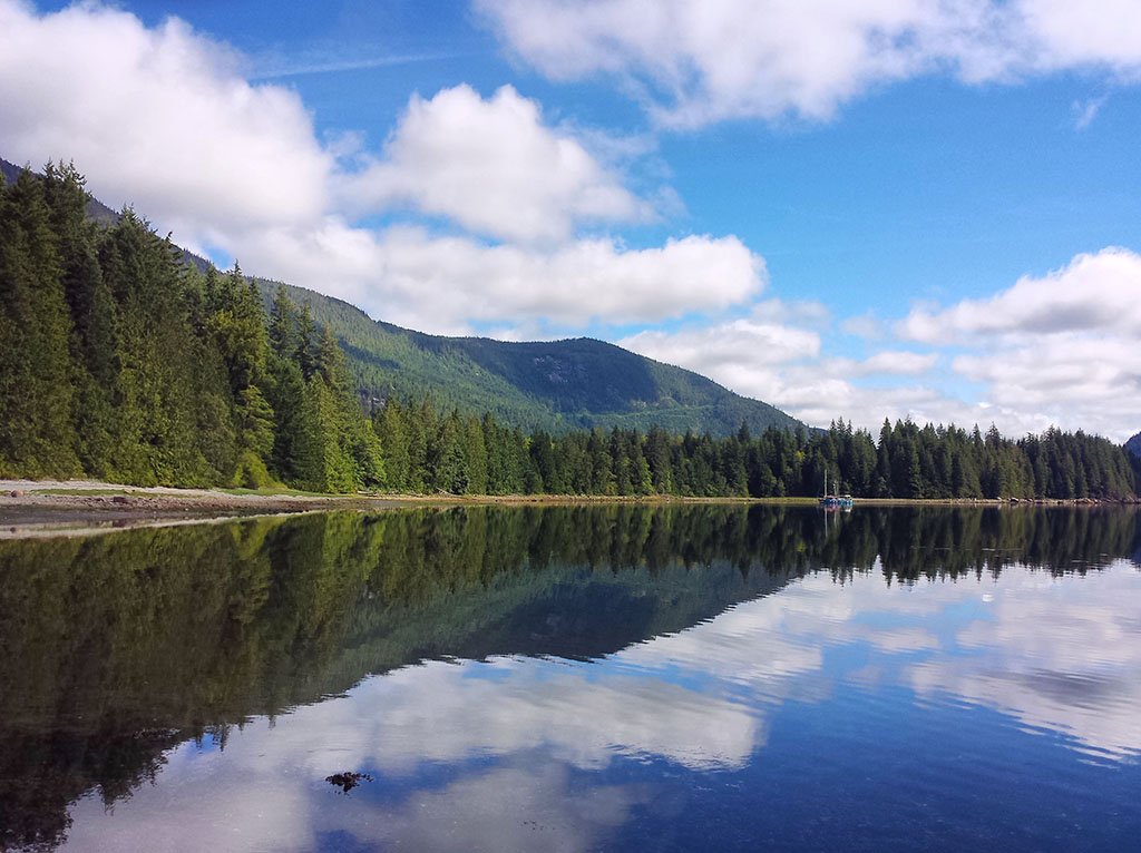 Off Grid Homesteading Opportunity In Port Neville