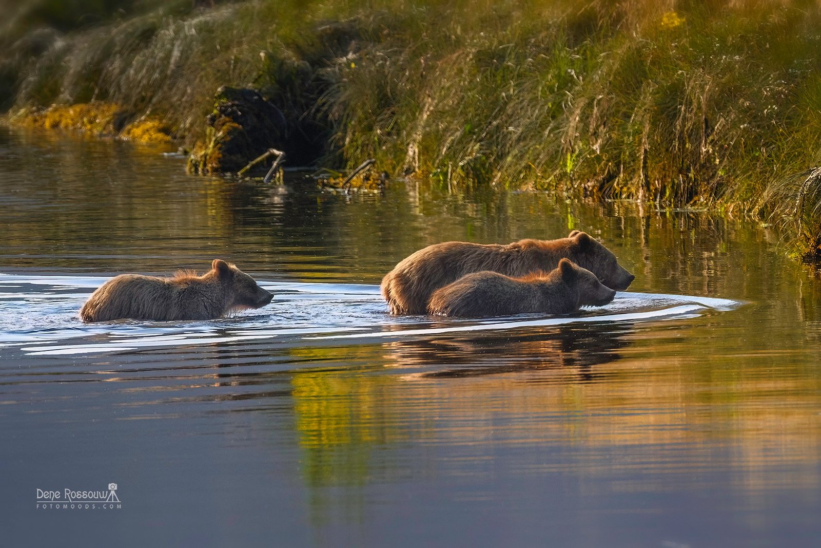 River Crossers – Photo By Dene Rossouw