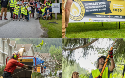 Wildfire Community Preparedness Day Award Now Accepting Applications