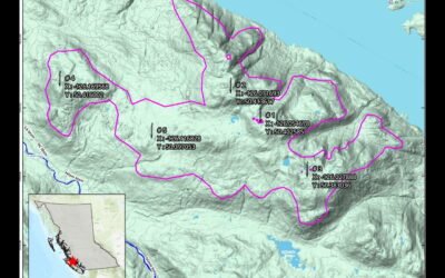 Second Green Energy Company Targets North Vancouver Island For Wind Farm Site