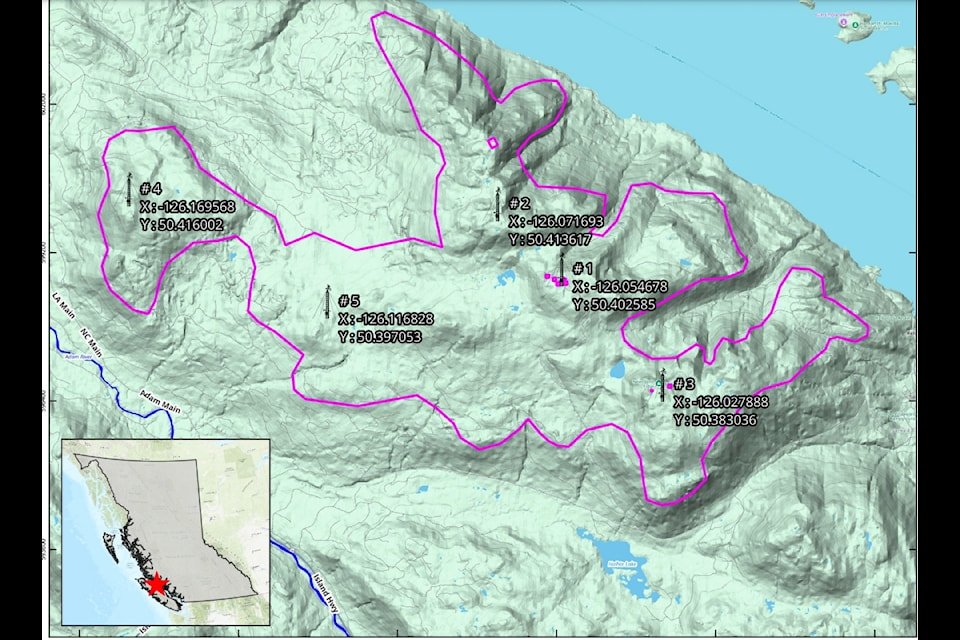 Second Green Energy Company Targets North Vancouver Island For Wind Farm Site