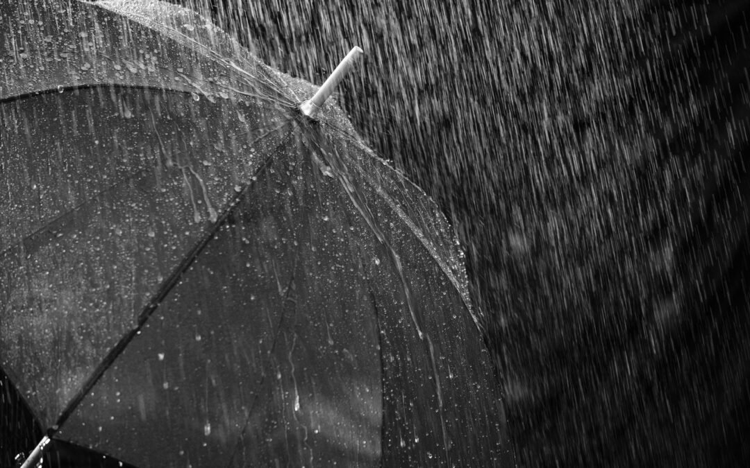 Heavy Rain And Powerful Winds Wreak Havoc Across North Vancouver Island