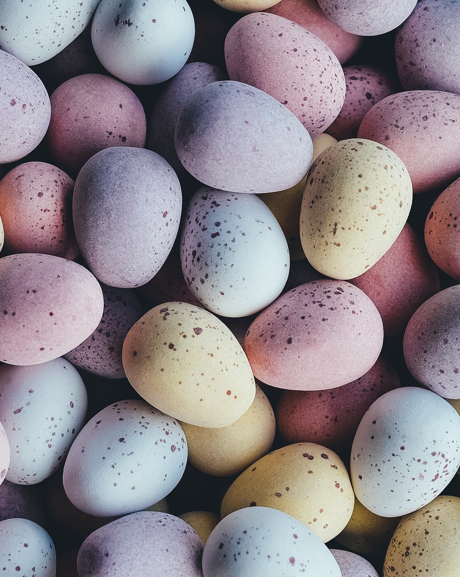 Free Easter Egg Hunt – April 20th 10am