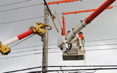 North Island Lights Up Again After Rapid Emergency Response