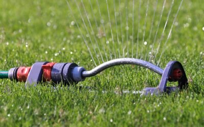Watering Restrictions