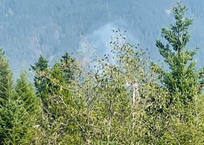 New Wild Fire Between Campbell River And Sayward Classified As Out Of Control