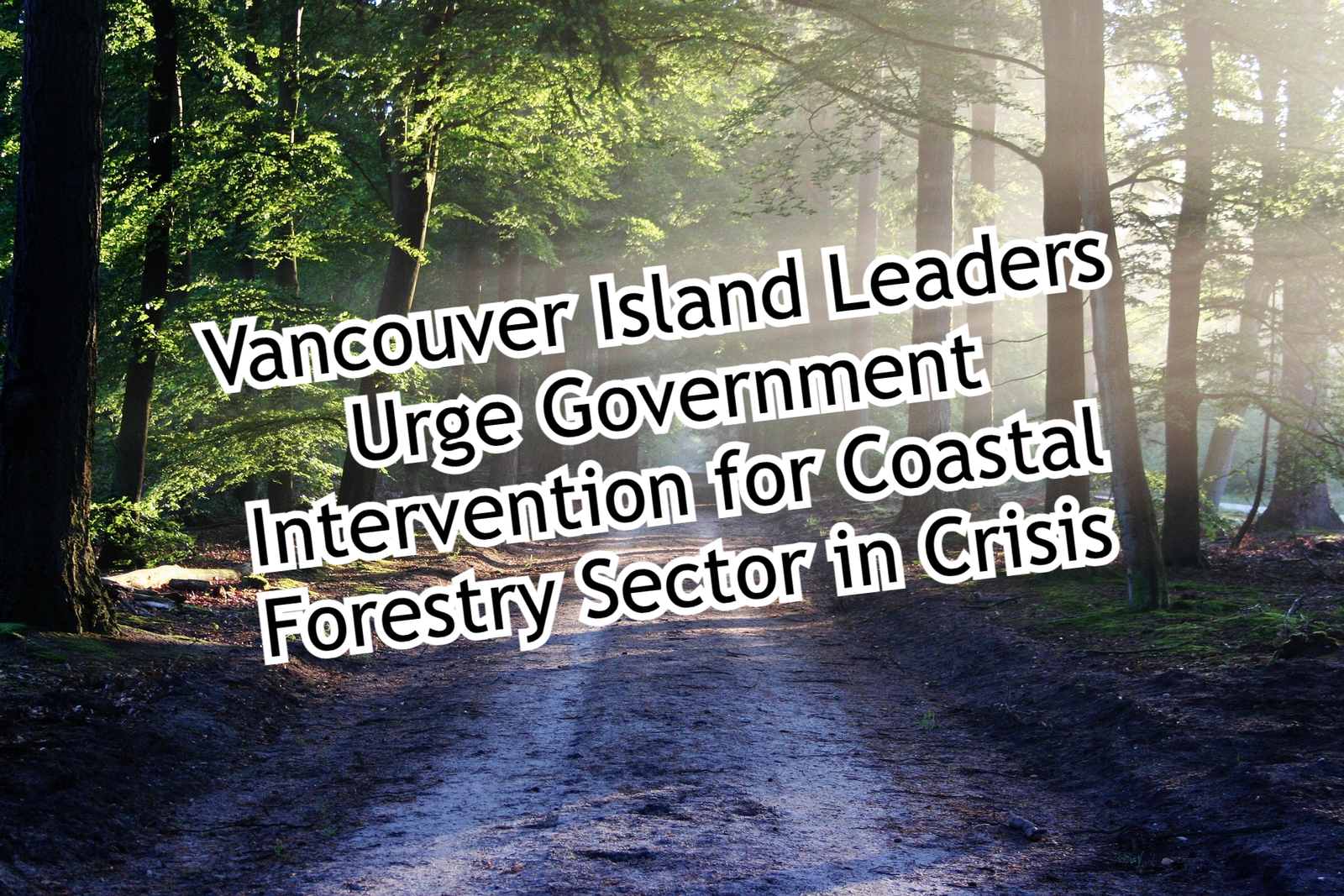 Vancouver Island Leaders Urge Government Intervention for Coastal Forestry Sector in Crisis
