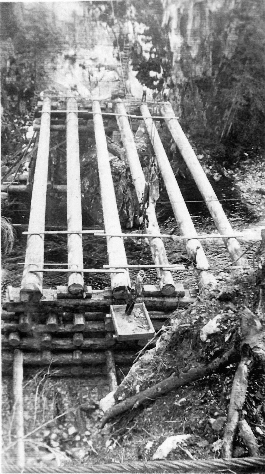 Adam River Crossing Logging Bridge Construction