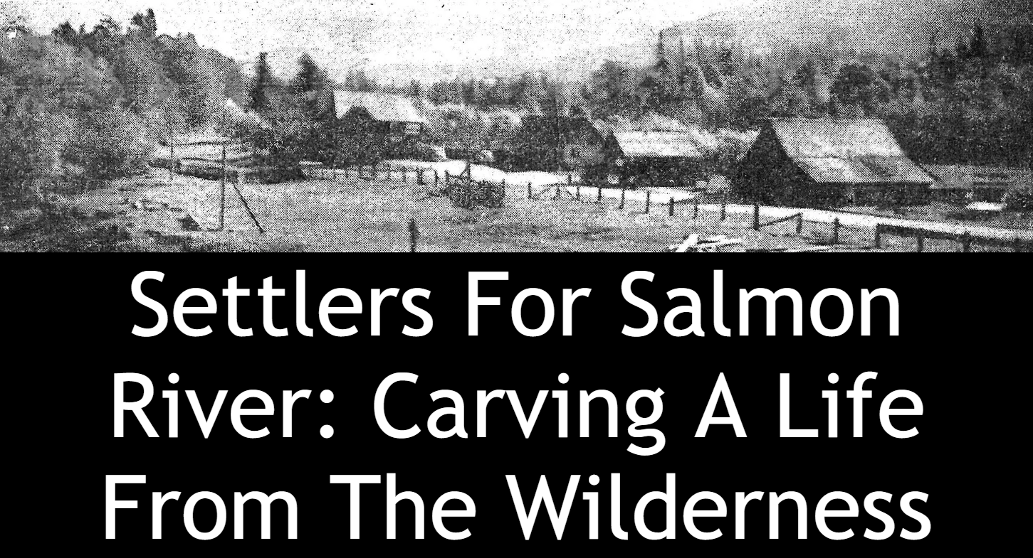 Settlers For Salmon River Carving A Life From The Wilderness
