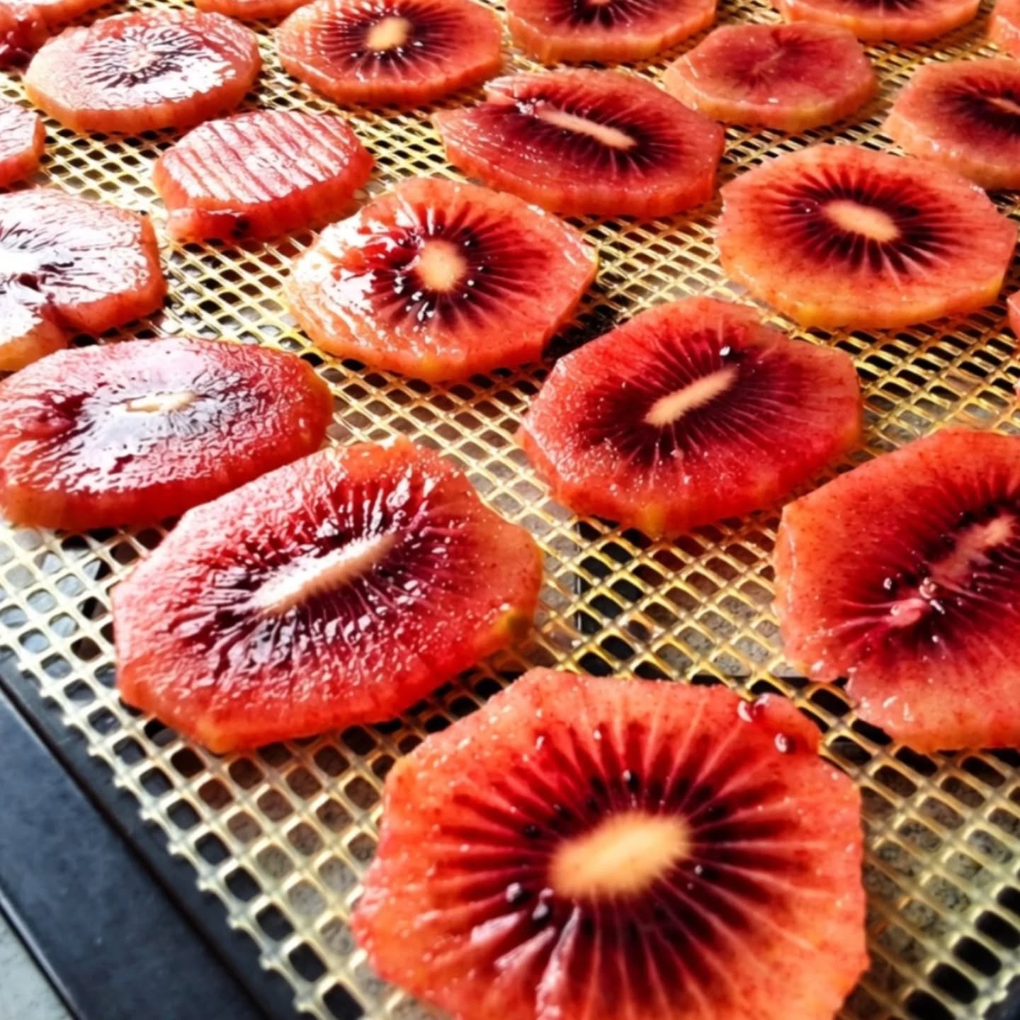 Dehydrated Ruby Kiwi