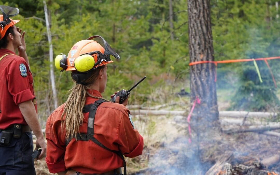Human Caused Wildfire Near Port Alberni Brought Under Control