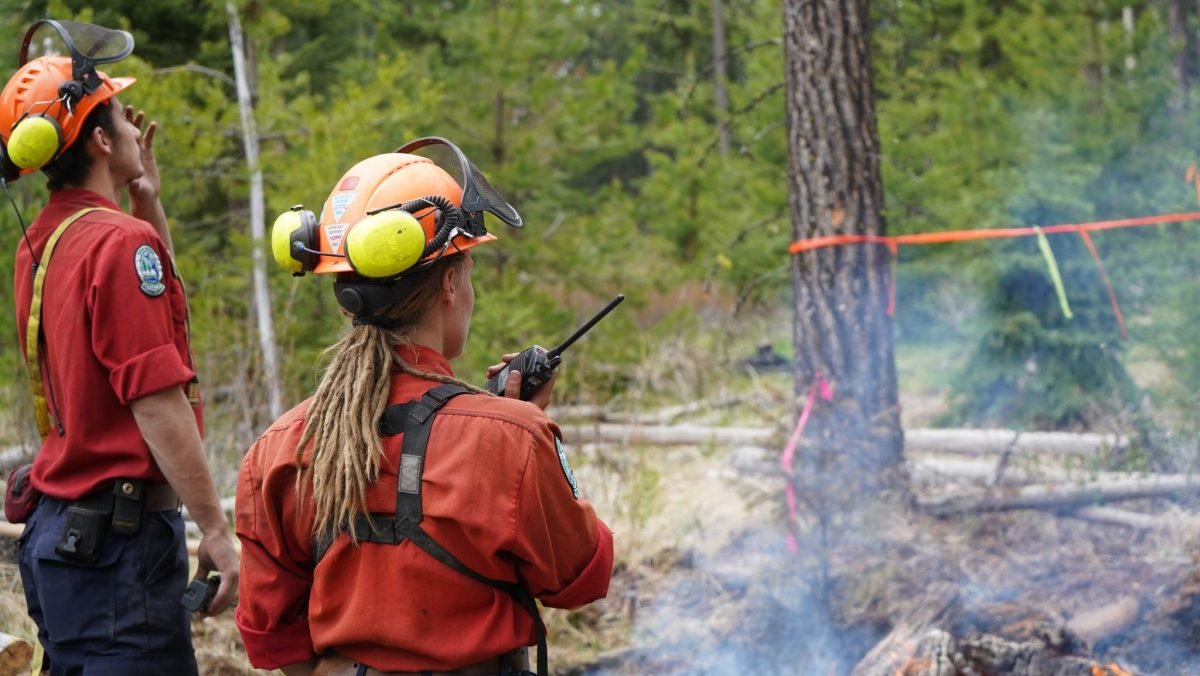 Human-Caused Wildfire Near Port Alberni Brought Under Control