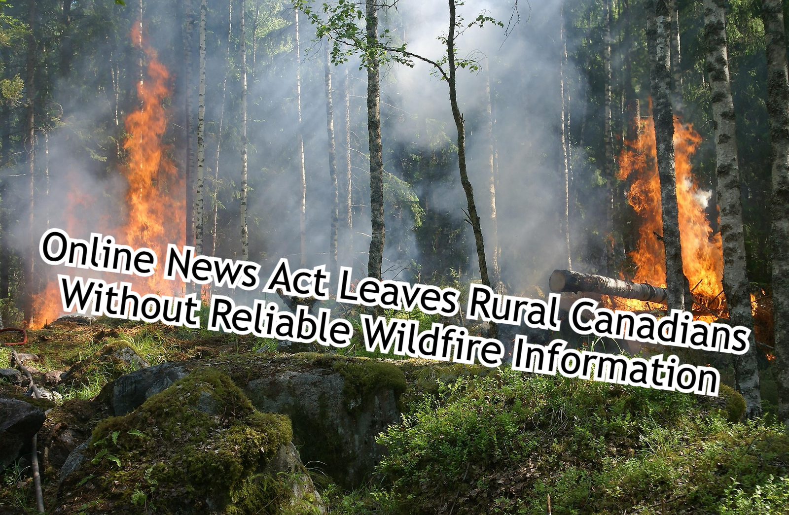 Online News Act Leaves Rural Canadians Without Reliable Wildfire Information