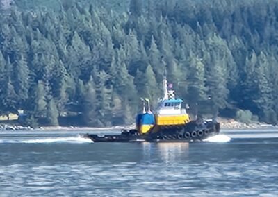 Kelsey Bay and Johnstone Strait Pictures September 6th 2026