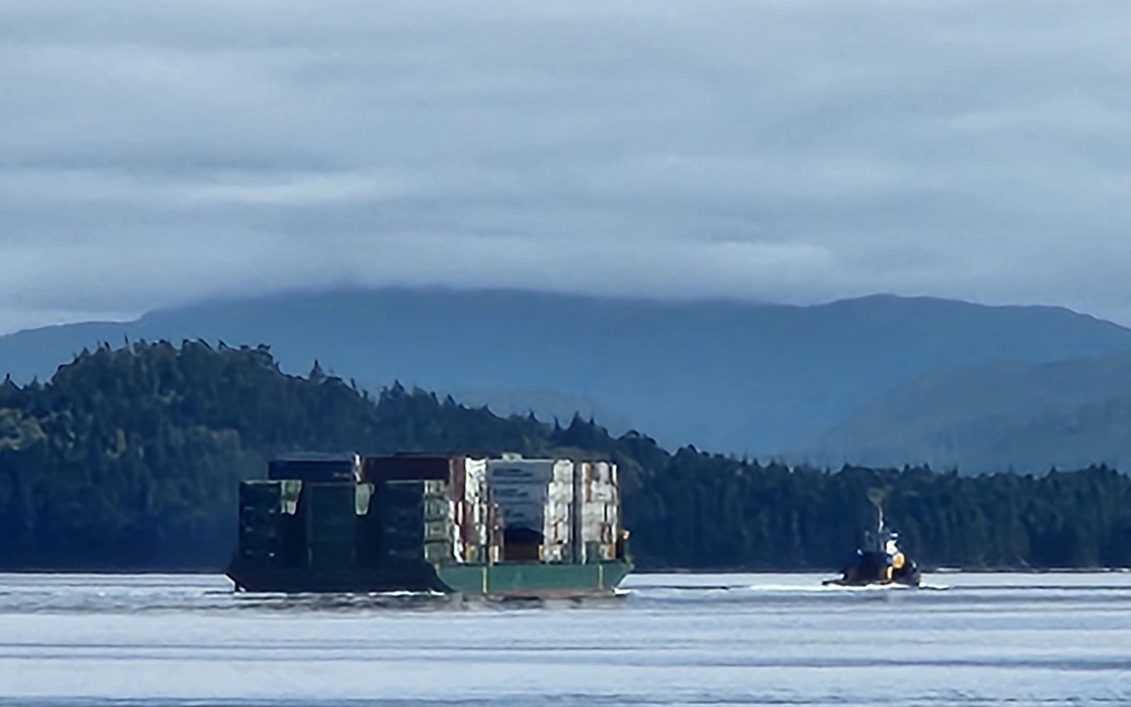 Kelsey Bay and Johnstone Strait Pictures September 6th 2026