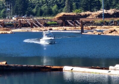 Kelsey Bay and Johnstone Strait Pictures September 6th 2026