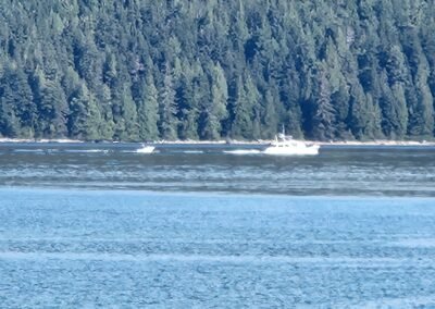 Kelsey Bay and Johnstone Strait Pictures September 6th 2026